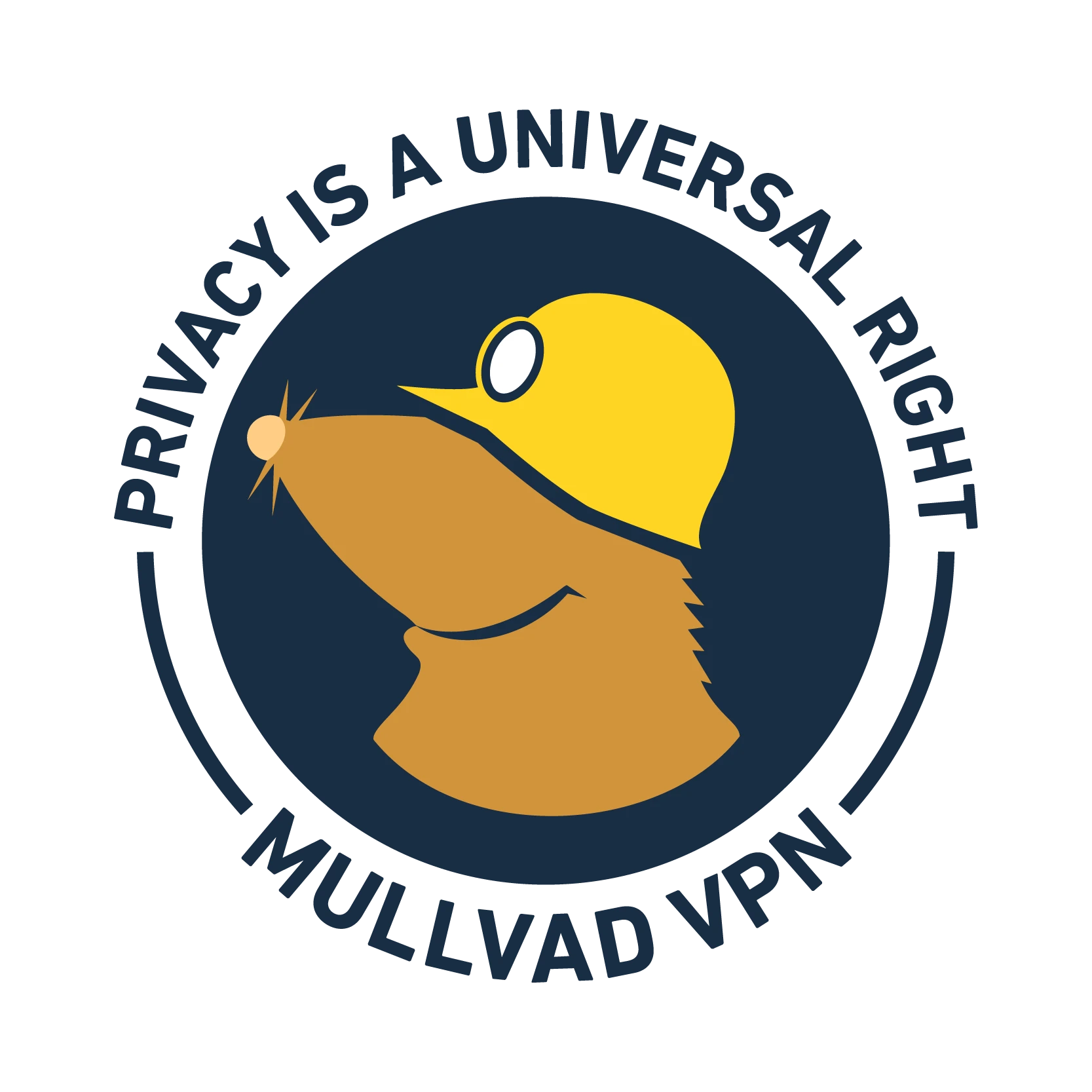 Mullvad VPN 应用版本 2020.5 中的自动 WireGuard 密钥轮换功能出现问题。